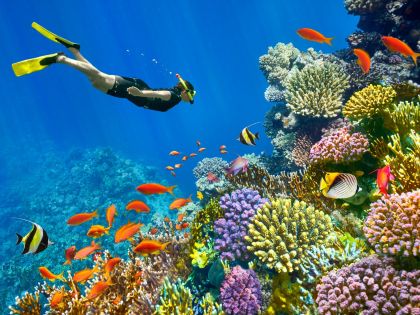 ЕКСКЛУЗИВНИ ОТСТЪПКИ - Почивка в Шарм ел Шейх, Египет със самолет от София - 7 нощувки